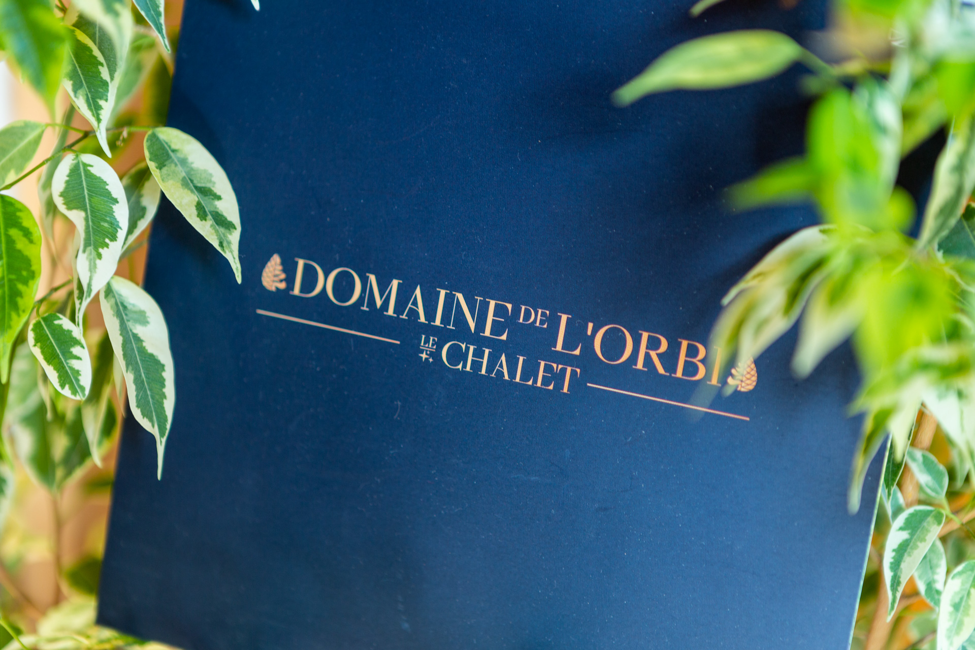 Impression de la plaquette promotionnelle 3 volets, sur un papier épais avec finition effet peau de pêche et vernis sélectif sur le logo