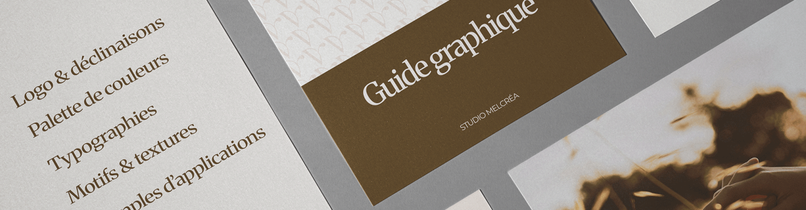 le guide graphique est aussi appelé charte graphique
